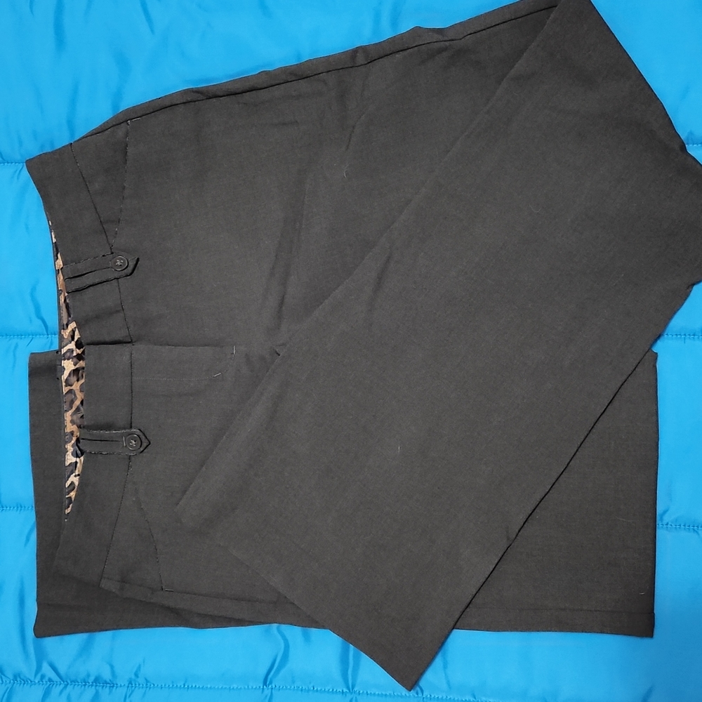 Express Editor Dress Pants Size 2